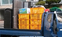 포토 갤러리